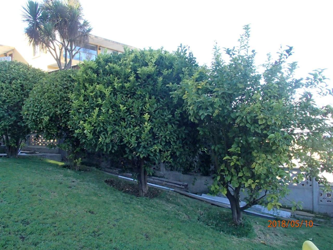 Hotel Camino Del Alto Vina del Mar Buitenkant foto